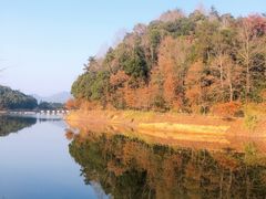 -千岛湖龙川湾