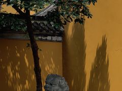 -观音山