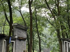 -南山植物园