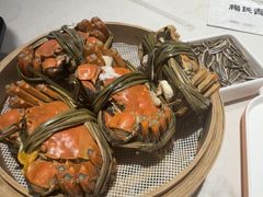 -杨氏青龙虾·羊蝎子(托乐嘉店)