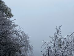 -洛阳白云山景区