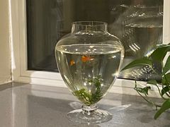 -秋林西餐厅