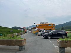 -龙坞茶村