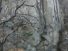 -北京鹫峰国家森林公园