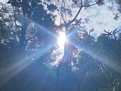 -火炉山森林公园