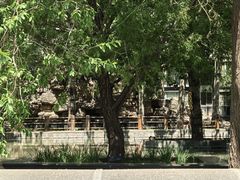 -格斗兄弟搏击健身训练馆(望京店)