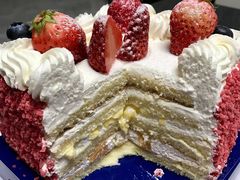 -卡滋贝诺动物奶油生日蛋糕(常熟万达店)