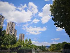 -重庆市江北嘴中央商务区中央公园