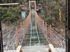 -燕子河大峡谷天坑仙境