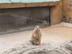 -合肥野生动物园