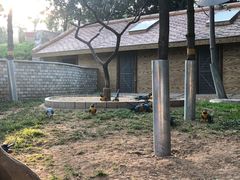 -石家庄市动物园