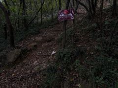 -句容茅山景区
