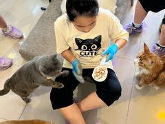 -平行世界·猫咖(首经贸店)