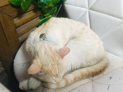 -小时光咖啡馆(北锣鼓巷店)