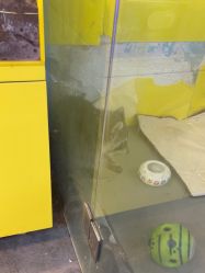 -神奇动物撸宠馆·羊驼·小浣熊·异宠(豫园店)