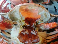 -四海蒸鲜蒸汽海鲜自助(北戴河店)