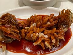 -得月楼·省级非遗·传统苏帮菜(观前店)