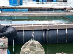 -海上驿站渔家菜馆