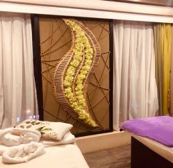 -青青一生美皮肤管理