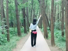 -同里国家湿地公园