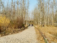 -马家湾湿地公园