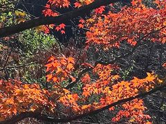 -西湖风景区十里琅珰-五云山
