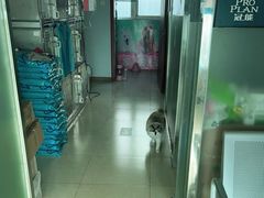 -乐宠动物医院