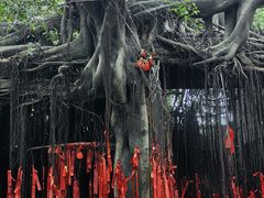 -晋江五店市传统文化旅游区