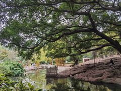 -晓港公园
