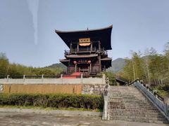 -大唐贡茶院