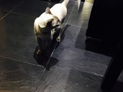 -吱咖啡西式简餐