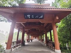 -重庆彩云湖湿地公园