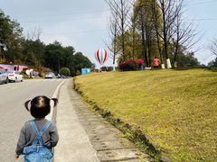 -铁山坪森林公园