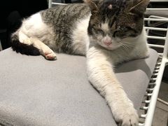 -UNI UNI(环亚凯瑟琳店)