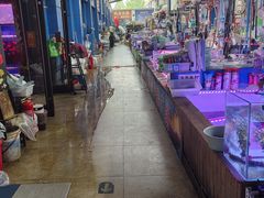 -山东柏宁水族宠物用品交易广场