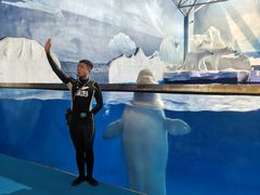 -秦皇岛乐岛海洋王国