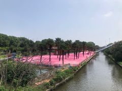 -苏州太湖西山岛开心农场