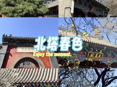 -护国法轮寺