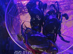 -七欣天(诸暨苎萝万风西楼店)