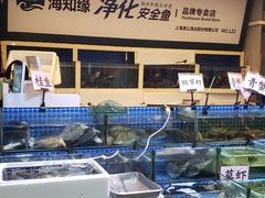 水产区-三角地菜市场(吉祥路店)