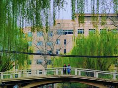 -团结湖公园