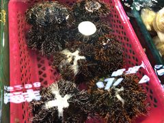 -清水湾3号(东方小周海鲜店)