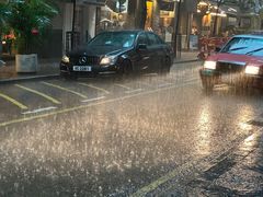 -华嫂冰室(尖沙咀店)