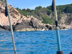 -小猫钓鱼海钓俱乐部(椰梦长廊店)