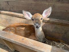 -南戴河国际娱乐中心