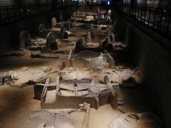 -洛阳周王城天子驾六博物馆