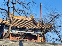 -北京国子监胡同