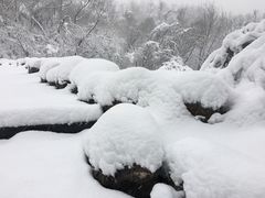 -紫金山天文台