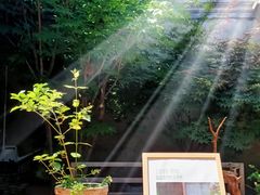 -创艺无限·赵春香微妙艺术馆