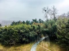 -威海天沐温泉度假区